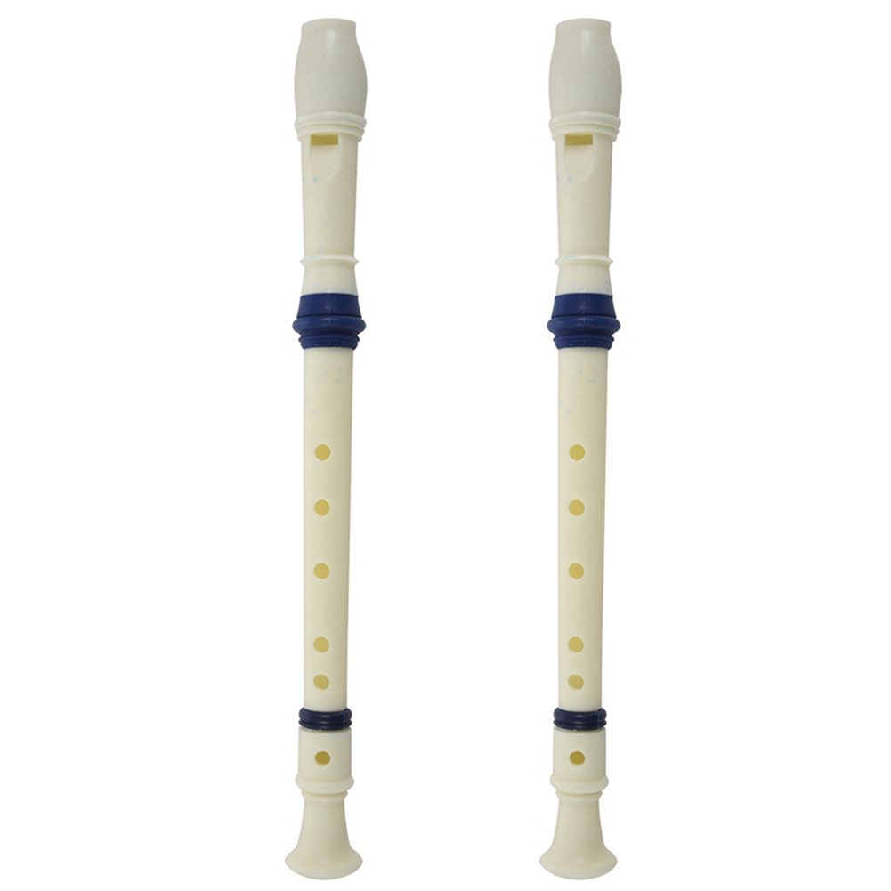 FSTE-2X Music Instrument 6 Hol - огляд і ціна Musical Instrument Recorder