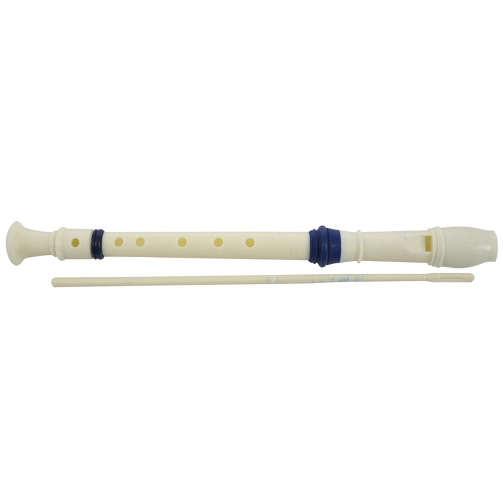 FSTE-2X Music Instrument 6 Hol - огляд і ціна Musical Instrument Recorder