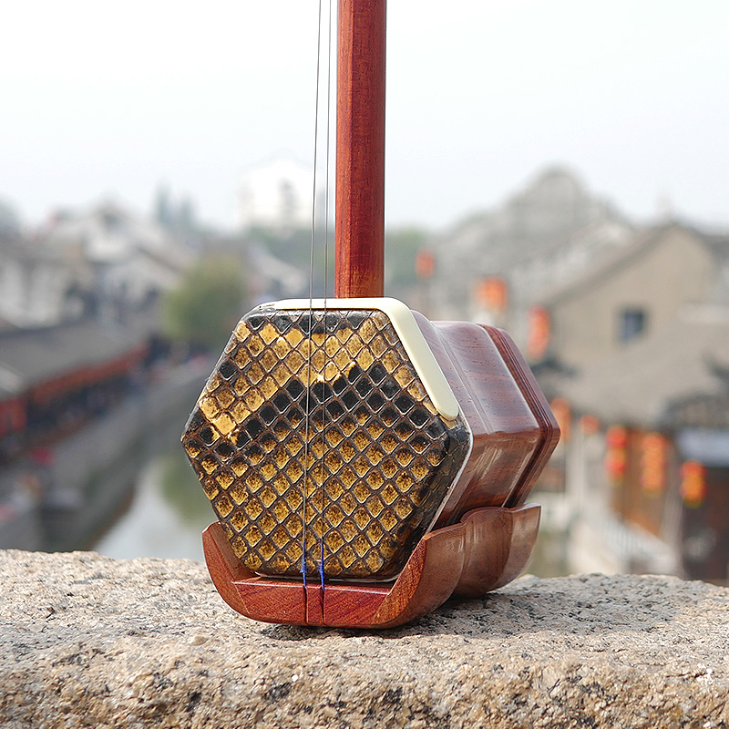 Professional Dunhuang Brand 06 - огляд і ціна Musical Instrument All