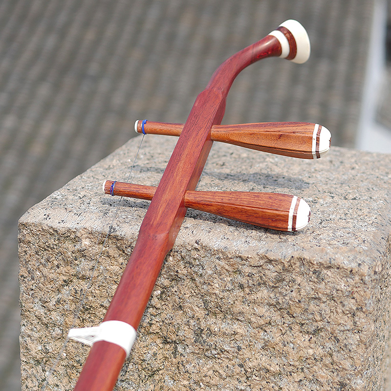 Professional Dunhuang Brand 06 - огляд і ціна Musical Instrument All