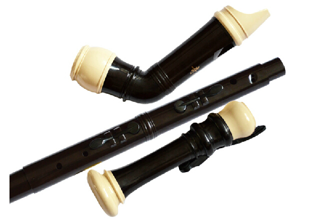 Professional 8 Holes Baroque B - огляд і ціна Musical Instrument Recorder