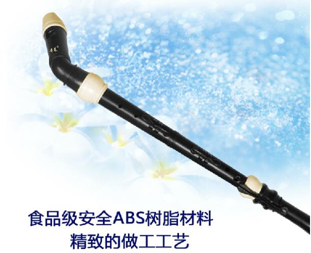 Professional 8 Holes Baroque B - огляд і ціна Musical Instrument Recorder