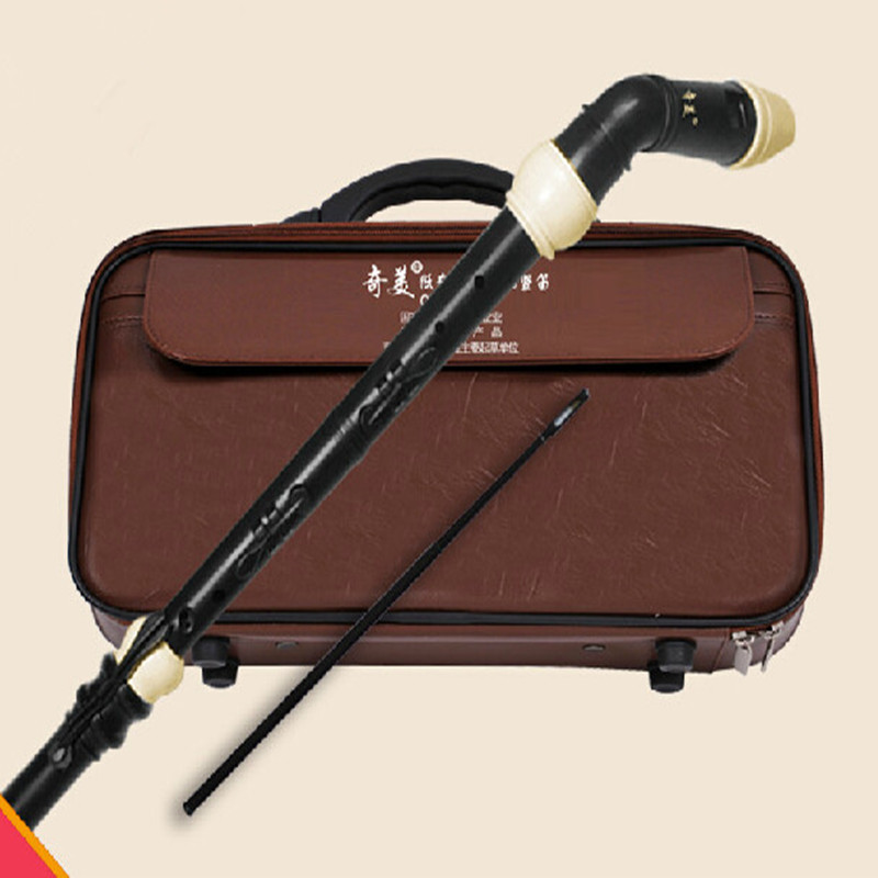 Professional 8 Holes Baroque B - огляд і ціна Musical Instrument Recorder