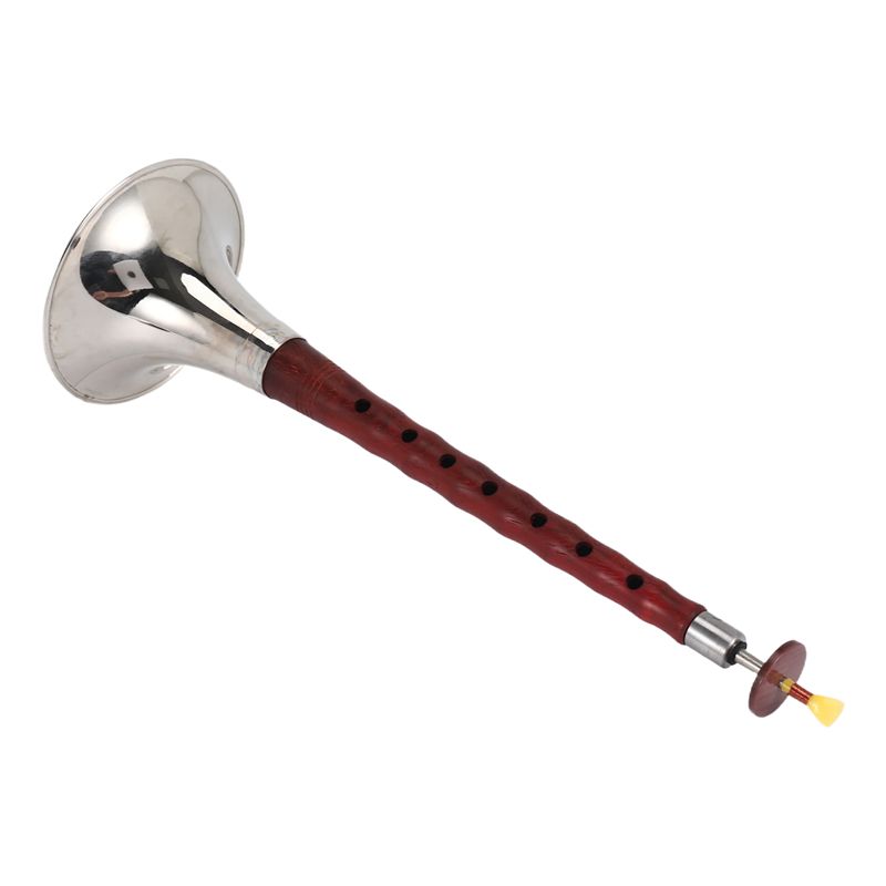 A12E-Chinese Folk Wind Musical - огляд і ціна Musical Instrument Zurna