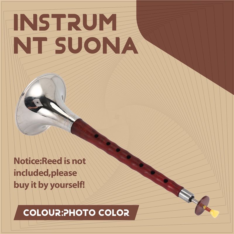 A12E-Chinese Folk Wind Musical - огляд і ціна Musical Instrument Zurna